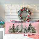 SNNDER Throw Pillow Covers, Pillow Covers for Room Decor, 20x54inch, 496 (Winter - 3)