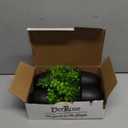 Der Rose Fake Plants 4 Packs Artificial Plants Small Faux Plants Black Bathroom Accessories for Halloween Bathroom Home Kitchen Coffee Table Office Desk Decor Indoor (Green)