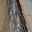 6FT Artificial Olive Tree Indoor Tall Realistic Faux Olive Tree with Plastic Planter, Fake Silk Tree with Handcrafted Branches & Fruits, Large Fake Plant for Home and Office Decor (6FT)