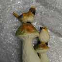 Napco Whimsical Birds on Mushrooms Figurine Charming Nature-Inspired Decor for Garden, Patio, or Indoor Display - Hand-Painted Resin Sculpture