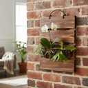 Staghorn Fern Mounting Board Kit Wooden Wall Planter Hanging Plant Holder for Vertical Plant,Platycerium, Orchids,Succulents(Rectangular)