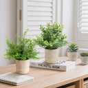 ALAGIRLS 4 Pack Small Fake Plants, 10" Artificial Plants Indoor Eucalyptus/Rosemary/Succulents, Small Faux Plants in Pulp Pot,for Farmhouse Decor, for Bathroom Bedroom Kitchen Office Living Room Decor