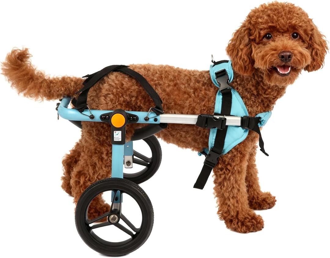 TailWaggers Dog Wheelchair for Back Legs | Adjustable Mobility Aid | All-Terrain Wheels (15-25lbs,12-17"), Blue