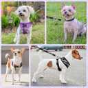 SCENEREAL No Pull Dog Harness Collar and Leash Set for Small Sized Dogs, Soft Mesh Plaid Puppy Harnesses, Pet Vest for Outdoor Walking Training and Running, Beige XS