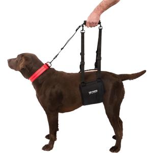 Tuff Pupper Dog Sling Hip Harness | Rear Lift Support for Senior & Injured Dogs | Adjustable Mobility Aid | Strong Padded Handle | Comfortable Design | Hip & Hind Leg Assistance (Large, Female)