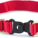 PetSafe KeepSafe Collar for Dogs - Protects Against Collar Accidents - Long Lasting - Durable - Adjustable - Breakaway - Outdoor-Safe - Medium - 3/4 In. Wide - Red