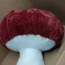 Mushroom Plush Cute Mushroom Plushie Stuffed Animals Pillows Home Decor Kids Gift Red Mushroom Pillows Plush 10.2 Inches (10.2IN)