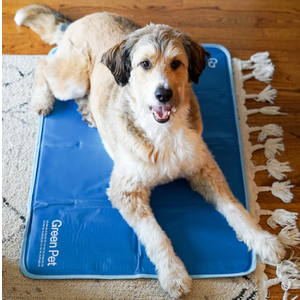 The Green Pet Non-Toxic Gel Cool Pet Pad Self-Cooling Cushion, 35"L x 23.5"W, Ocean Blue