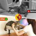 Cat Desk Hammock with 360 Rotation & Adjustable Height, Clamp-On Cat Bed for Desk, Supports Up to 50 lbs, Includes 2 Washable Cushions, No Drilling Required