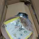 Duxtop Ceramic Nonstick Frying Pan 8" Stir Fry Pan Skillet with Stainless Steel Handle, PFAS Free, Dishwasher & Oven Safe, All Stovetops & Induction Compatible (Copper)