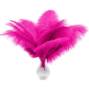 Piokio 20 pcs Fuchsia Ostrich Feather 12-14 inch(30-35 cm) Bulk for Wedding Party Centerpieces and DIY Clothes Decoration, Gatsby Decorations
