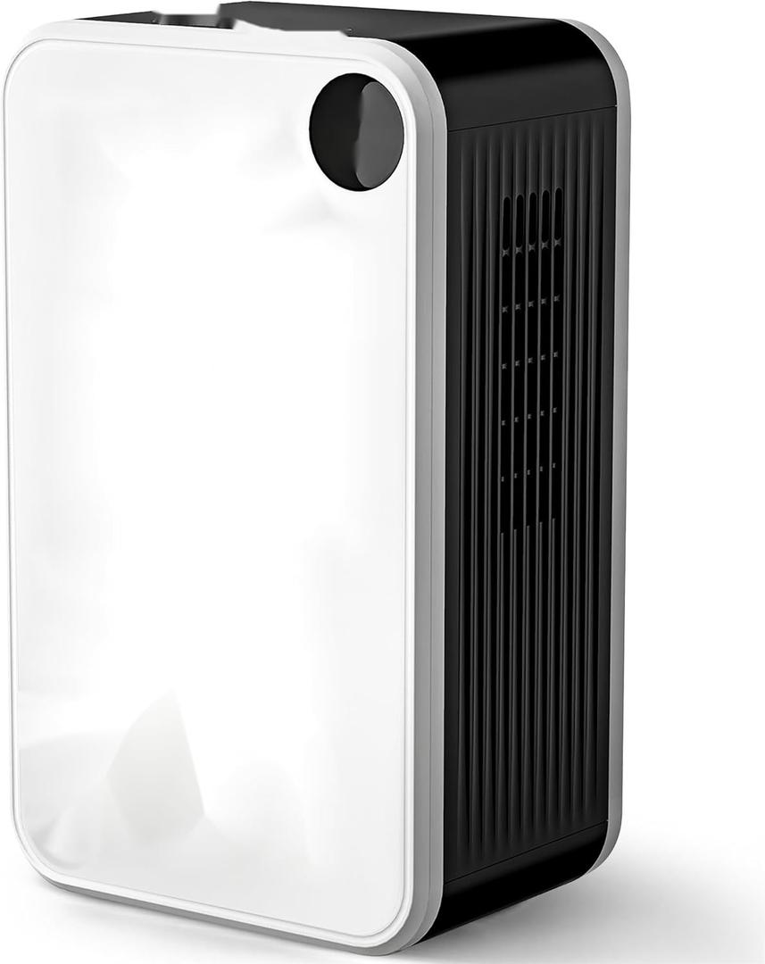 Dehumidifiers for Home