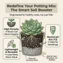 5 x Organic Perlite for Plants, Soil Amendment for Enhanced Drainage and Growth, Ideal for Potting Mixes (1 Quart)