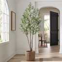 Bailikang 6FT Artificial Olive Tree Artificial Olive Plants, Tall Faux Olive Tree Faux Silk Plant Fake Plant Ultra-Realistic Silk Leaves & Natural Trunk Indoor Outdoor Use