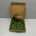 6FT Christmas Norfolk Pine Garland -1PCS, Artificial Pine Needles Garlands Faux Greenery Fake Garland for Holiday Fireplace,Table,Window,Stairs,Mante,Indoor Outdoor Decor