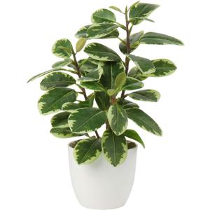 Briful Artificial Plants Mini Camellia Potted Fake Plants Small Faux Plastic Plants Desk Plant Artificial Flowers with Vase for Home Office Desk Kitchen Garden Indoor Decor (Style #3)