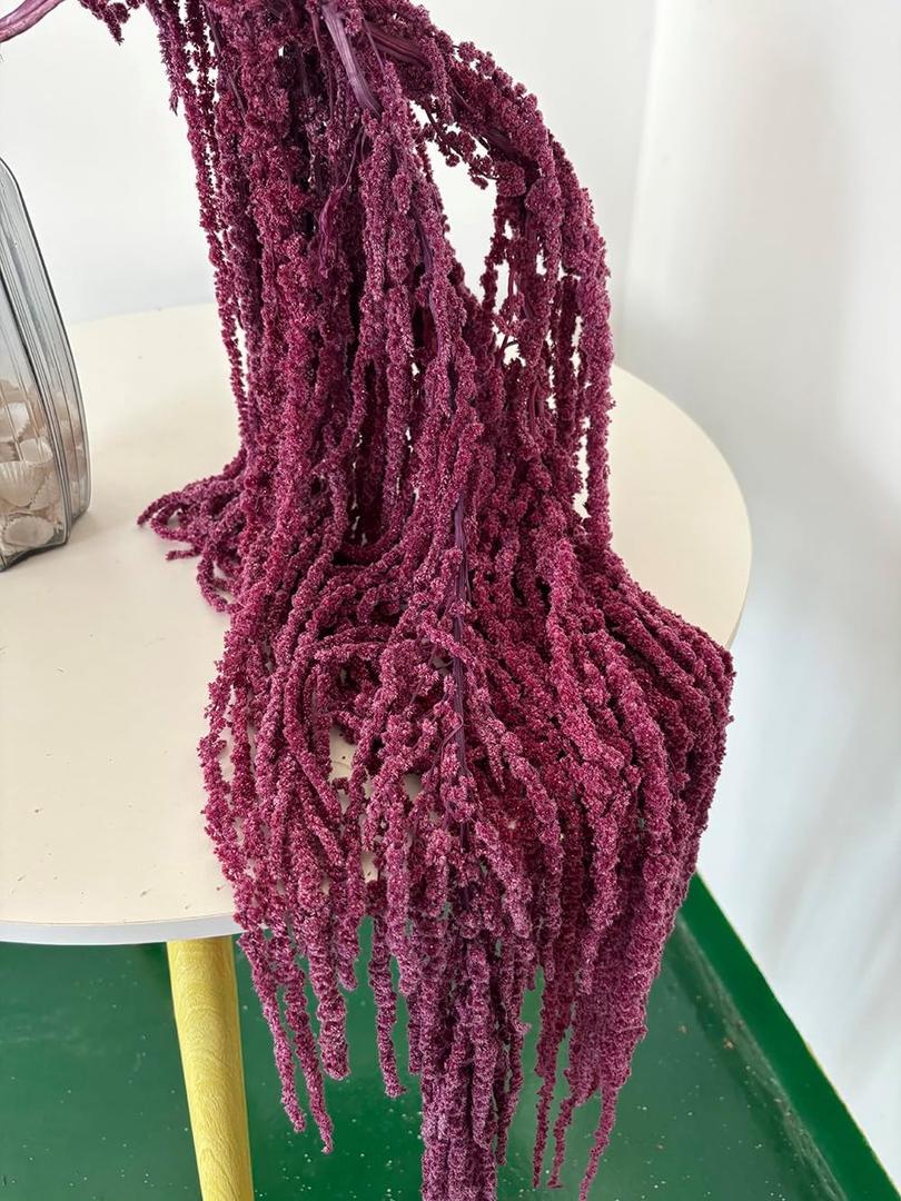 5 Pcs Bleached Wisteria Vine Hanging Dried Flowers, Natural Preserved Hanging Amaranthus Flowers for Wedding Bouquet, Wall Home Party Decor (Grape Purple)