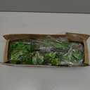 RECUTMS Artificial Ivy Vines Ivy Garland 2Pcs 74.8inch Fake Vines Hanging Plants with Silk Leaves Greenery Spring Decor for Indoor Outdoor Wedding Home Kitchen Garden Office