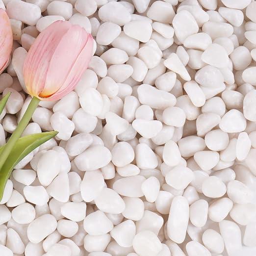 2.2 lbs White Gravel, 1/2 Inch Garden Pebbles
Decorative Rocks for Potted Plants,Small Rocks for Plants, Vases, Cactus Potted Plants, Fish Tanks