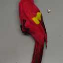 EBTOYS Artificial Birds Lifelike Feathered Birds Christmas Model Artificial Birds Lifelike Feathered Tree Craft - Parrot (Red)