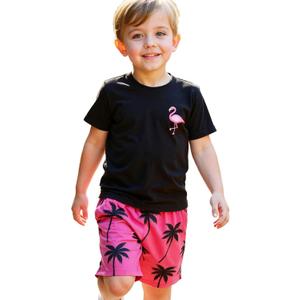 Cute Casual Outfits for Boys, Black Short Sleeve T-Shirt and Hawaiian Shorts Boys' Flamingo Print Clothing Sets (Black) Black, 5T