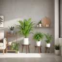 3-Pack Wood Plant Stands Indoor, Single Plant Stand for 6-12 Inch Pots, Mid-Century Modern Plant Stool, Tall Plant Stand for Large Plants Perfect Fit for Living Room, Balcony, Office