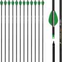 29 Inch Carbon Arrow Practice Hunting Arrows Spine 400 with Removable Tips for Archery Compound & Recurve & Traditional Bow (12 Pcs)