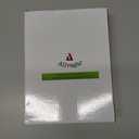 Stained Glass Window Panels Sun Catcher Honey Love Birds, 8" x 5"