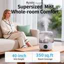 3L Top Fill Cool Mist Ultrasonic Humidifier