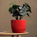 Ton Sin Ceramic Plant Pots - 4/5/6 Inch Red Planters Set of 3 with Drainage Holes and Saucer - Indoor Flower Pots for Plants Ceramic Planters for Indoor Gardening Succulent Pots