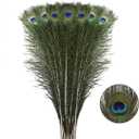 Natural Long Peacock Feathers - 40pcs 23-28 inches for Floral Arrangements, Wedding, Home and Party Decorations