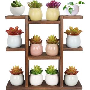 Wood Desktop Plant Stand Indoor Small Windowsill Flower Shelf Tabletop Plant Shelf Holder Display Rack for Succulent Herb in Living Room Office 9 Tiers