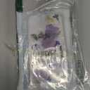 Abbery for iPhone 11 Phone Case Floral Cute Clear with Pressed Dry Real Flower Design Soft TPU Flexible Rubber Women Girls Blue White Flowers Shockproof Protective Case for iPhone 11 (Navy Flower)