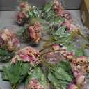 Tigeen 12 Bundles Peonies Artificial Flowers Faux Roses Silk Flowers Hydrangea Artificial Bouquet for Wedding Table Centerpiece Floral Vase Home Office Bridal Decor (Fuchsia)