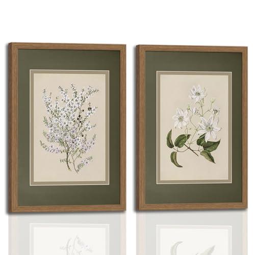 2Pcs Framed Canvas Wall Art Vintage Print Paintings Flower Drawing Plant Manuka Neutral Floral Nature Retro Aesthetic Artwork for Home Living Room Bathroom Farmhouse Wall Decor 16x24n Ready to Hang