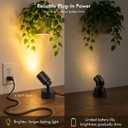 Spot Lights Indoor, 5W Plants Uplights Indoor with Remote Control Timer&Dimmable, 3CCT LED Picture Display Light Accent Lighting, Floor Spotlight Indoor for Tree, Artwork, 5.9 FT Plug Cord&Foot Switch