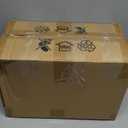 Rattan Wall Sconce Set of Two Boho Wall Lights for Bedroom Wicker Wall Lamp Plug in Wall Sconces for Bedroom Living Room