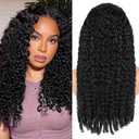 13x6 Burmese Curly Wig Human Hair 250 Density Jet Black Lace Front Wig Pre Plucked Natural Hairline Brazilian Virgin Hair Lace Frontal Wigs For Black Women Daily Wear & Parties 24 Inch