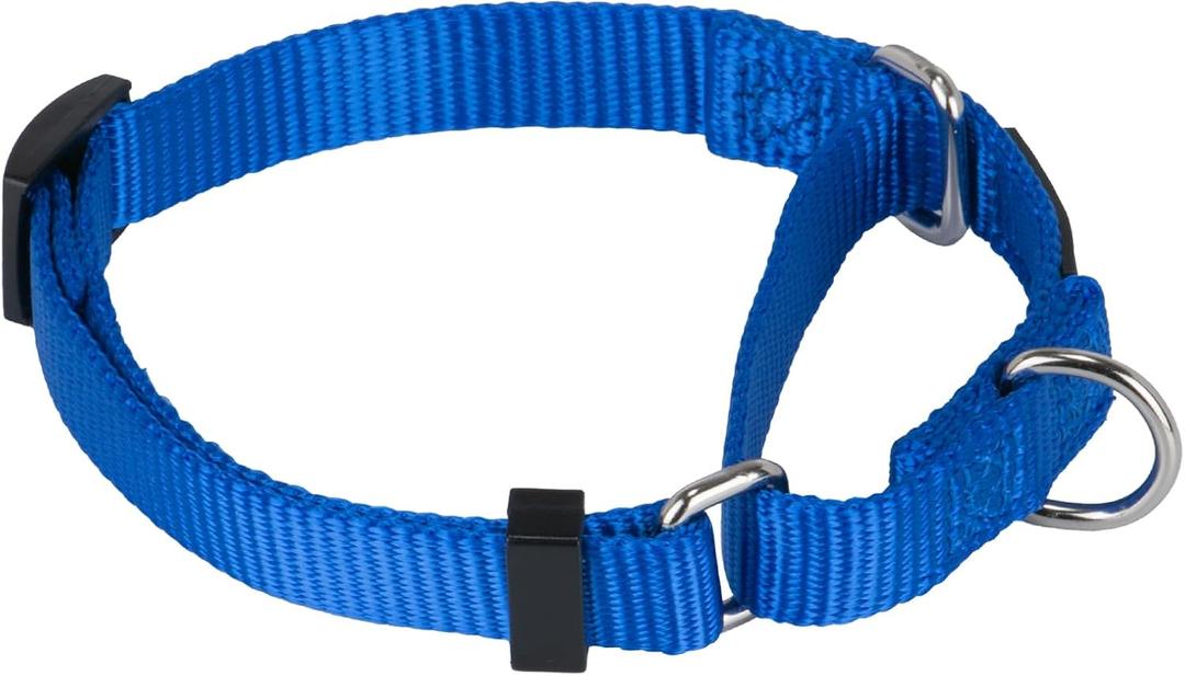 Hyhug Martingale Collar for Dogs Small Blue |Escape - Proof Heavy Duty Nylon Durable No Buckle, Ideal for Training & Daily Walks, S