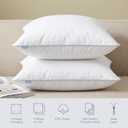 Leeden 24x24 Throw Pillow Inserts Set of 2-100% Cotton Cover