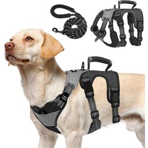 PUPTECK Escape Proof Dog Harness and Leash Set Upgraded No Pull Reflective Dog Vest with Lift Handle, Easy Control Pet Harness for Medium Large Dogs Training Walking Running (Grey/Black), Size: X-Large
