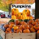 3 Pcs Pumpkins for Sale Yard Sign with Stakes, 12 x 16 Inches Double Sided Print Outdoor Fall Pumpkin Patch Garde Yard Sign for Outdoor Indoor Fall Halloween Thanksgiving