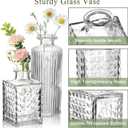 DomeStar 16PCS Glass Bud Vases Set, Small Clear Cylinder Vases for Plant Propagation Station Plant Terrarium, Vintage Clear Bud Vase in Bulk for Rustic Wedding Centerpieces Home Table Flower Decor