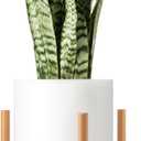 Mkono Plant Stand Mid Century Wood Flower Pot Holder (Plant Pot NOT Included) Modern Potted Stand Indoor Display Rack Rustic Decor, Up to 12 Inch Planter, Natural