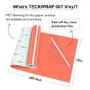 TECKWRAP 001 Vinyl Glossy Permanent Vinyl Adhesive Vinyl Roll for Cutters, Signs, Scrapbooking, Craft, Die Cutters 12" x 20ft, Glossy Salmon Pink
