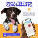 3 x HeyBuddy Slide Series - QR Code Smart Pet Tags for Dogs & Cats, Personalized Pet Tag Stores Multiple Information, Includes Passive Location Tracking, Real-Time Notification & Community Alerts (Large, Pink)