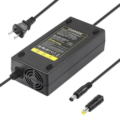 TREE.NB 54.6V 2A Electric Charger for 48V Fast and Safe Charging of 13S Li-ion Battery