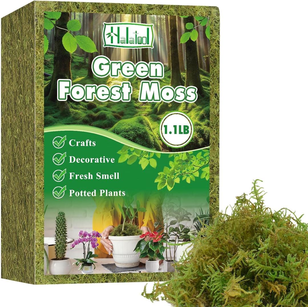 Halatool 1.1LB Green Moss for Potted Plants, 25QT Orchid Moss Potting Mix, Forest Moss for Indoor Plants, Indoor Potting Plant Moss for Repotting Terrariums Garden Reptiles