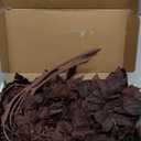 Lyrow 6 Pack Artificial Cimicifuga Plant Leaf Spray Faux Plum Cimicifuga Ramosa Leaf Branch Faux Fall Spray Silk Plants for Home Vase Wedding Garden Farmhouse Table Mantel Decor (18 Inches)