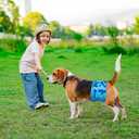 2 x MICOOYO Belly Bands for Male Dogs, 3 Pack Reusable Dog Diapers Male for Puppy Doggie, Washable Male Dog Wraps (S, Rainforest)